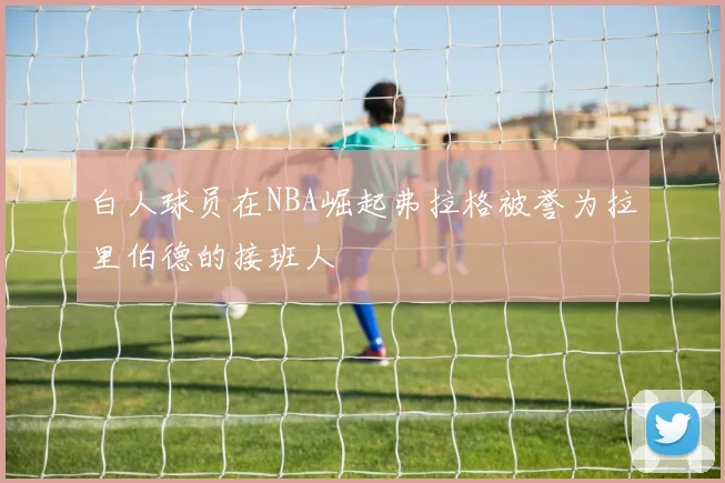 白人球员在NBA崛起弗拉格被誉为拉里伯德的接班人